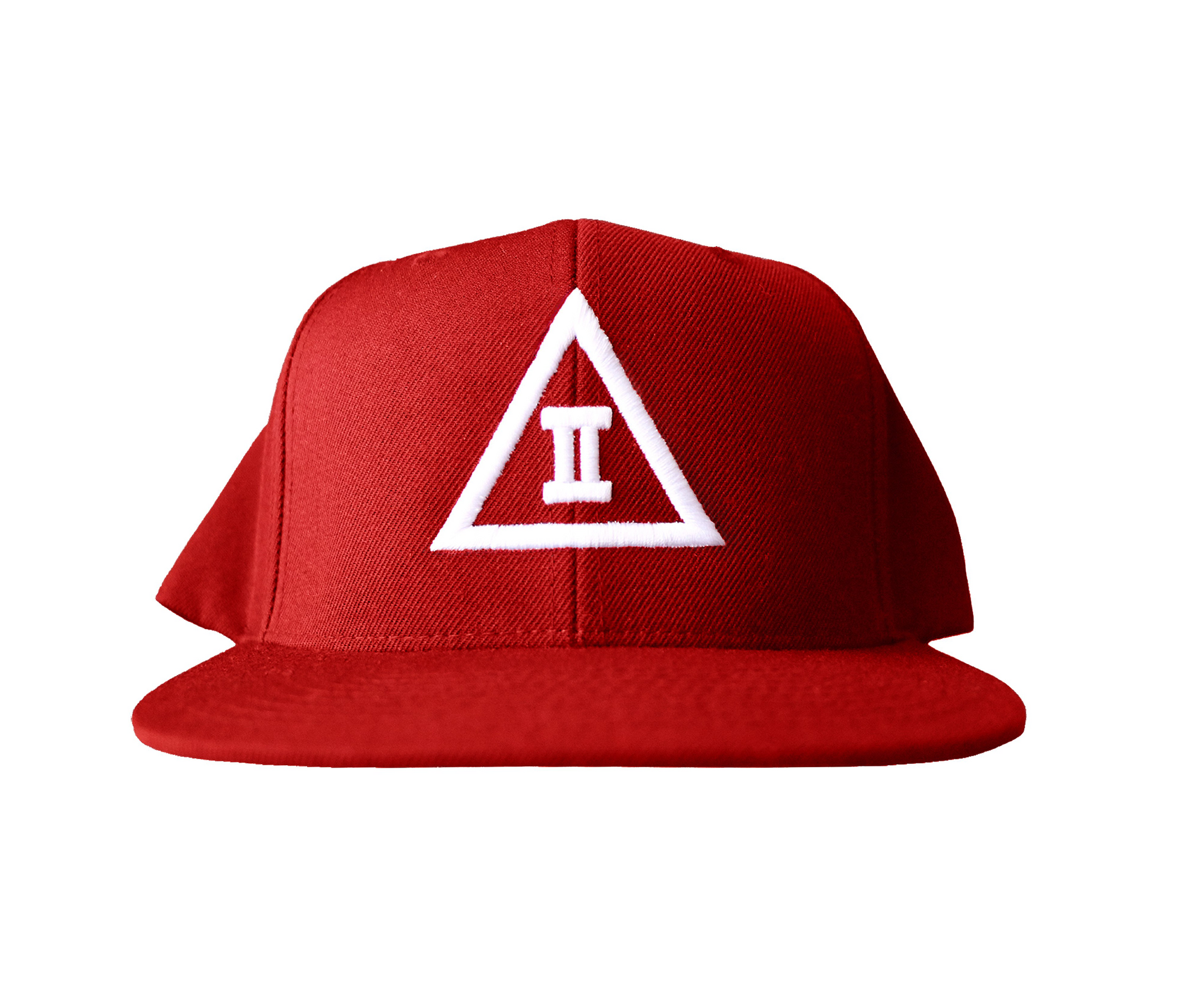 2D Snapback Hat